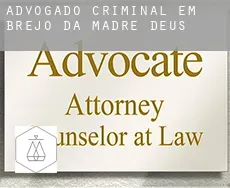 Advogado criminal em  Brejo da Madre de Deus