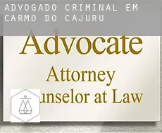 Advogado criminal em  Carmo do Cajuru