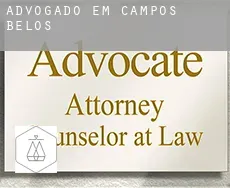Advogado em  Campos Belos