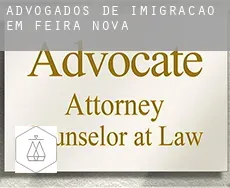 Advogados de imigração em  Feira Nova