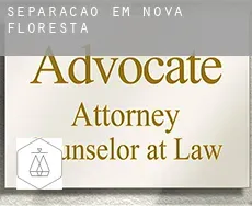 Separação em  Nova Floresta