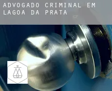 Advogado criminal em  Lagoa da Prata