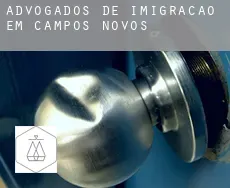 Advogados de imigração em Campos Novos