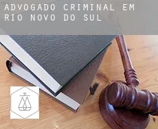 Advogado criminal em  Rio Novo do Sul