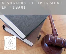 Advogados de imigração em  Tibagi