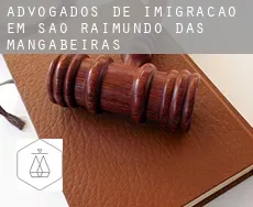 Advogados de imigração em  São Raimundo das Mangabeiras