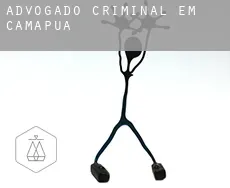 Advogado criminal em Camapuã