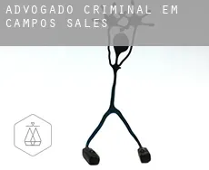 Advogado criminal em  Campos Sales