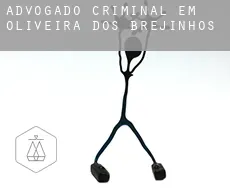 Advogado criminal em  Oliveira dos Brejinhos