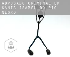 Advogado criminal em  Santa Isabel do Rio Negro