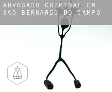 Advogado criminal em  São Bernardo do Campo