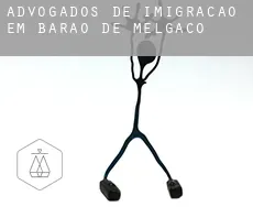 Advogados de imigração em  Barão de Melgaço