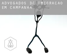 Advogados de imigração em  Campanha