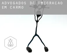 Advogados de imigração em  Carmo