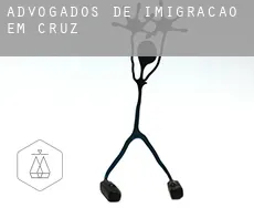 Advogados de imigração em  Cruz