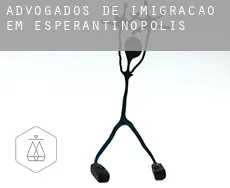 Advogados de imigração em  Esperantinópolis