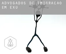 Advogados de imigração em  Exu