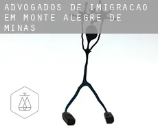 Advogados de imigração em Monte Alegre de Minas
