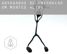 Advogados de imigração em  Montes Altos