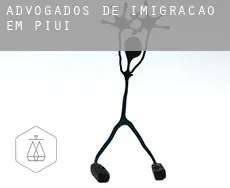 Advogados de imigração em  Piumhi