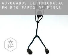 Advogados de imigração em  Rio Pardo de Minas