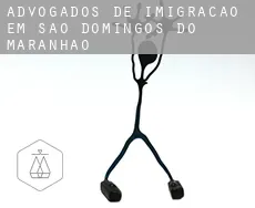 Advogados de imigração em  São Domingos do Maranhão