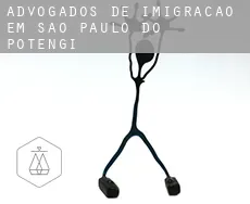 Advogados de imigração em  São Paulo do Potengi
