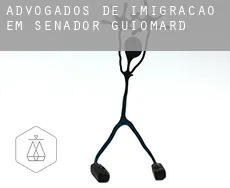 Advogados de imigração em  Senador Guiomard