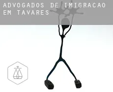 Advogados de imigração em  Tavares