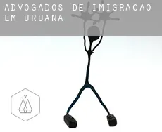 Advogados de imigração em  Uruana