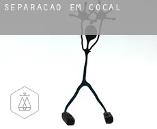 Separação em  Cocal