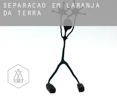 Separação em  Laranja da Terra