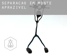 Separação em  Monte Aprazível