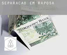 Separação em Raposa