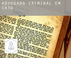 Advogado criminal em  Catu