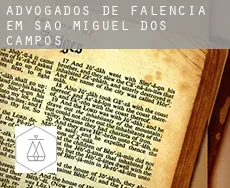 Advogados de falência em  São Miguel dos Campos