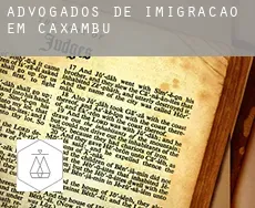 Advogados de imigração em  Caxambu