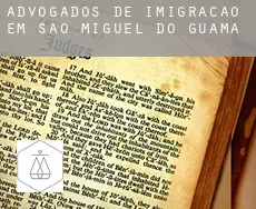 Advogados de imigração em  São Miguel do Guamá
