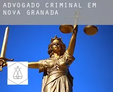 Advogado criminal em  Nova Granada