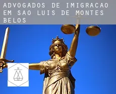 Advogados de imigração em  São Luís de Montes Belos