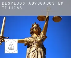 Despejos advogados em  Tijucas
