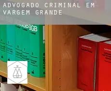 Advogado criminal em  Vargem Grande