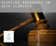 Despejos advogados em  Nova Floresta