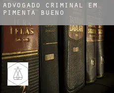 Advogado criminal em  Pimenta Bueno
