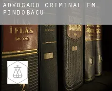 Advogado criminal em  Pindobaçu