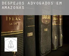 Despejos advogados em  Amazonas