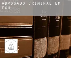 Advogado criminal em  Exu