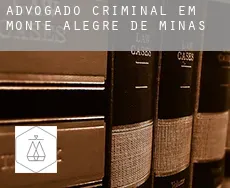 Advogado criminal em Monte Alegre de Minas