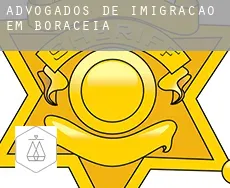 Advogados de imigração em  Boracéia