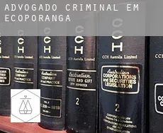 Advogado criminal em  Ecoporanga